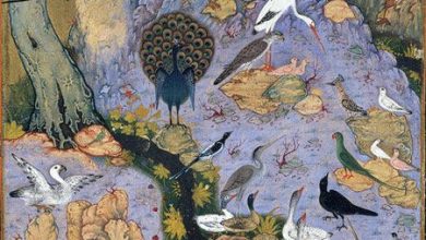 تصویر از تمنای لبت – برنیامد از تمنای لبت کامم هنوز – غزل ۲۶۵ – ۲۹۵